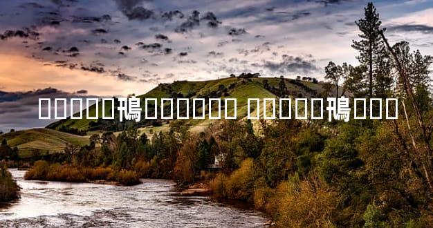 �����鳵���޼۸� �����鳵���